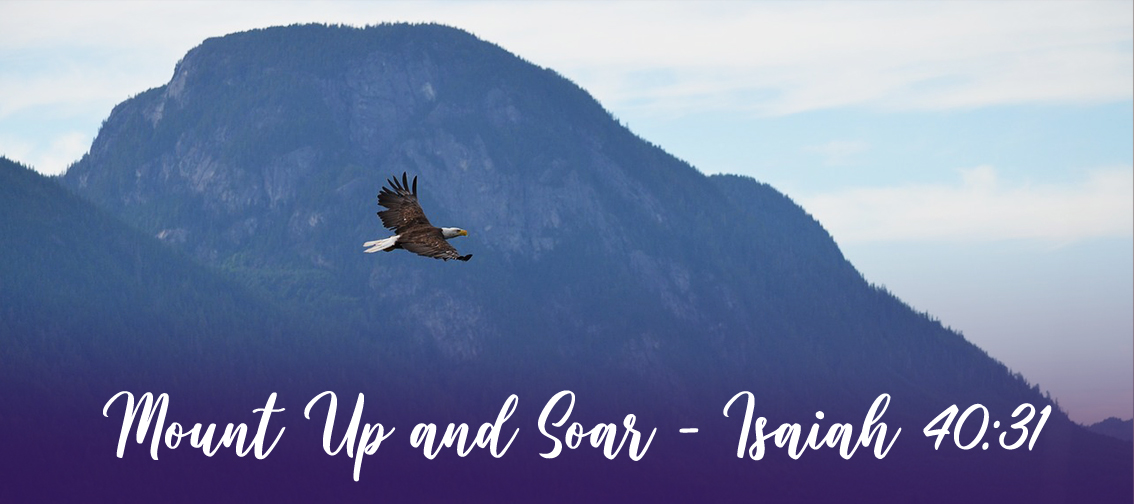 Mount Up and Soar - Isaiah 40:31